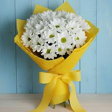 Букет цветов из:  Хризантемы в Ставрополе