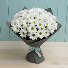 Букет цветов из:  Хризантемы #REPLACE_PRED# Ставрополе