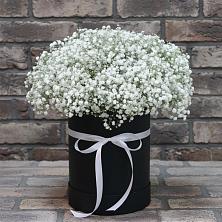 Цветочная композиция из Гипсофила в шляпной коробке в Ставрополе