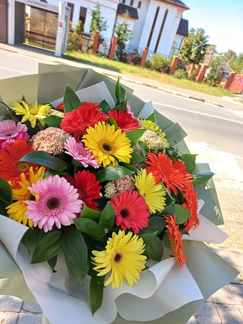 Букет цветов из: Герберы в Ставрополе